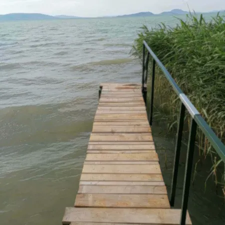 Balaton Haz בלטונפנבש